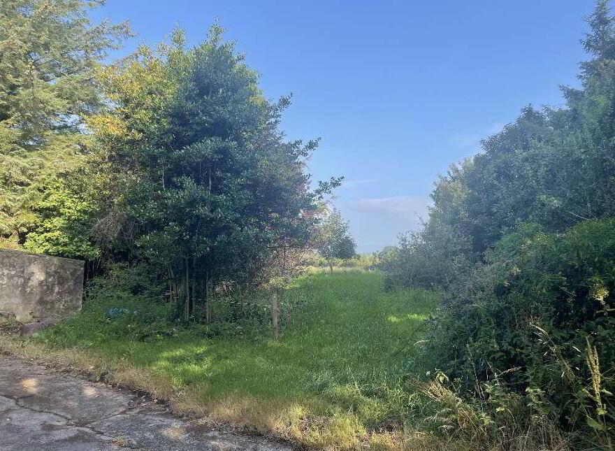 Sheskin, Stradbally, X42T211