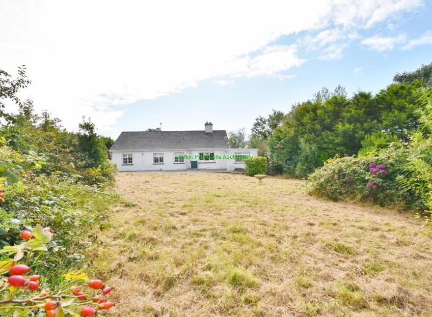 Carhooearagh, Just Added, Carhooearagh, Kilmorna, Listowel, V31RF64