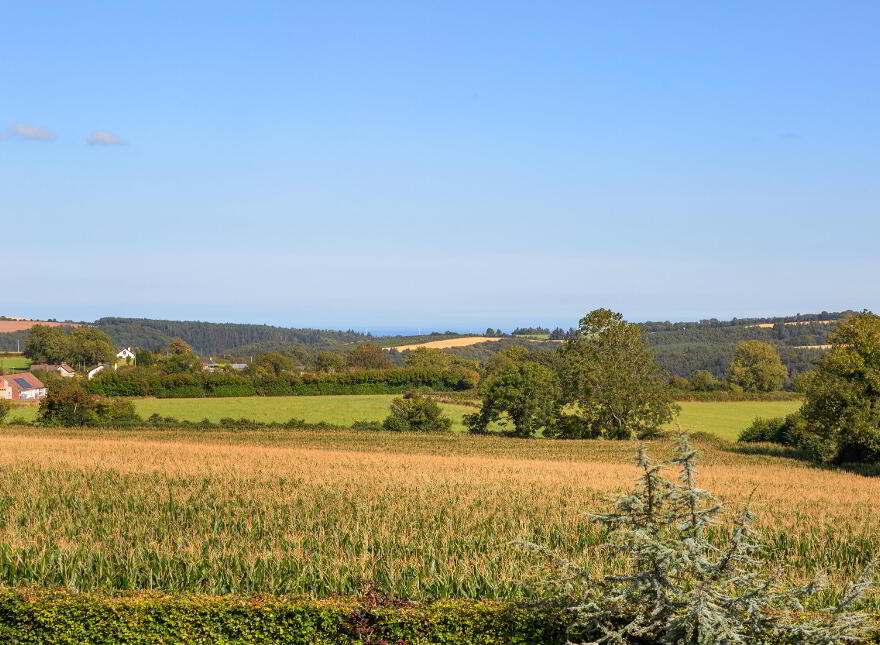 Ballykillageer Lower, Arklow, Y14RR66