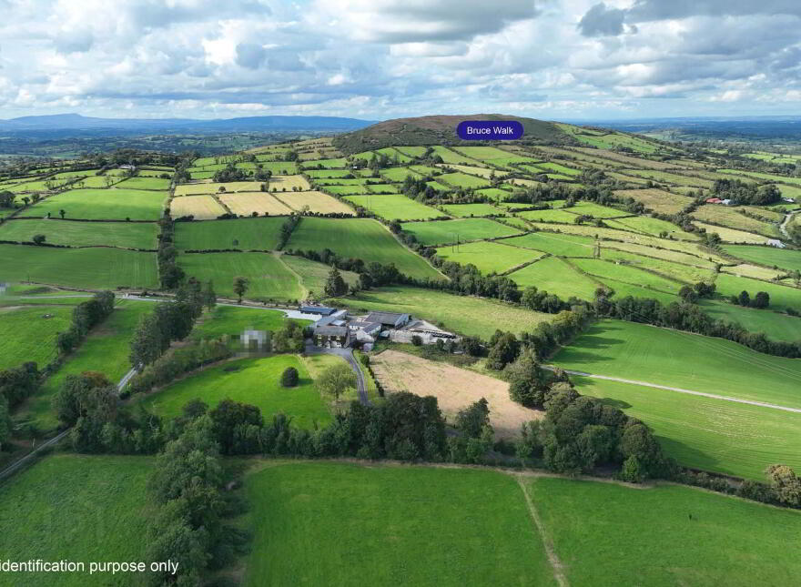 Bruce Hall, Gurteen, Arvagh, H12NR79