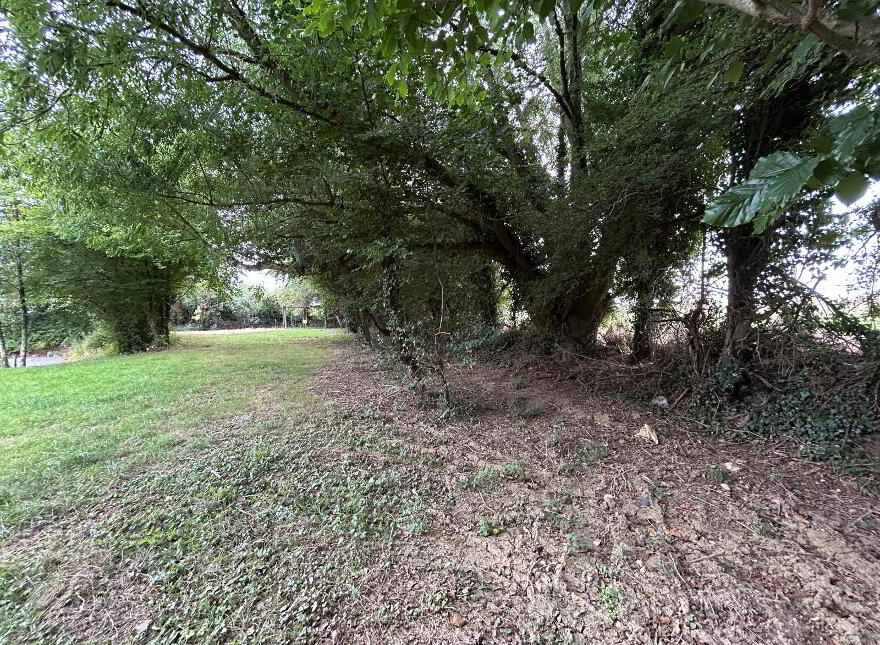 Ballygriffin, Killavullen, P51XNH7