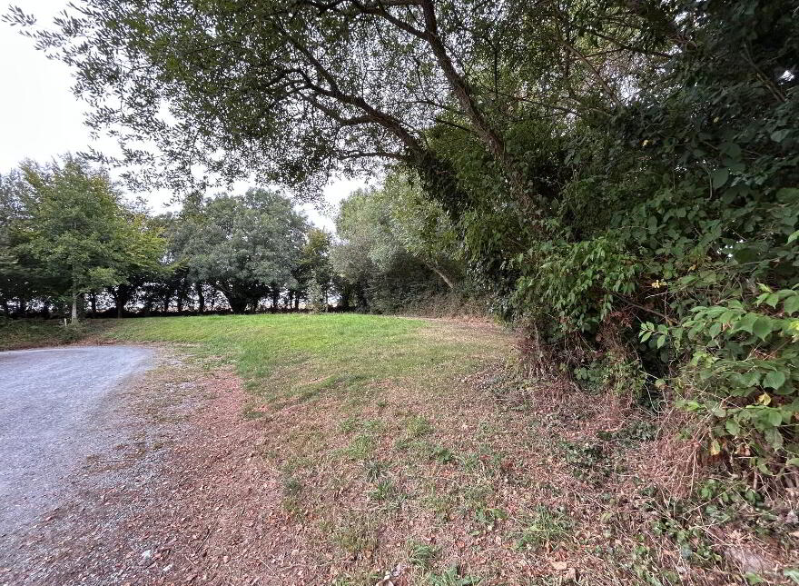 Ballygriffin, Killavullen, P51XNH7