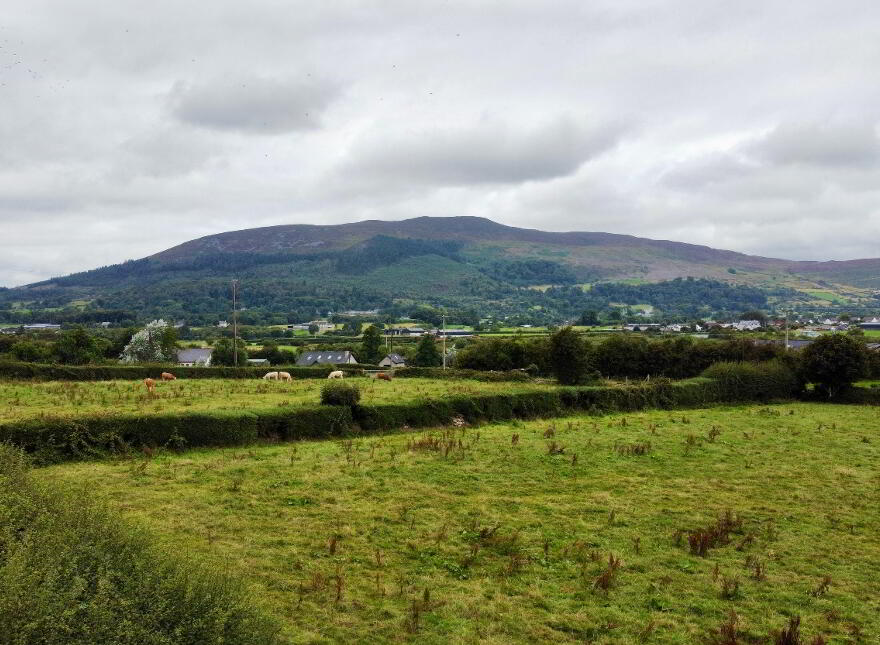82 Lower Foughill Road, Meigh, Newry, BT35 8SQ