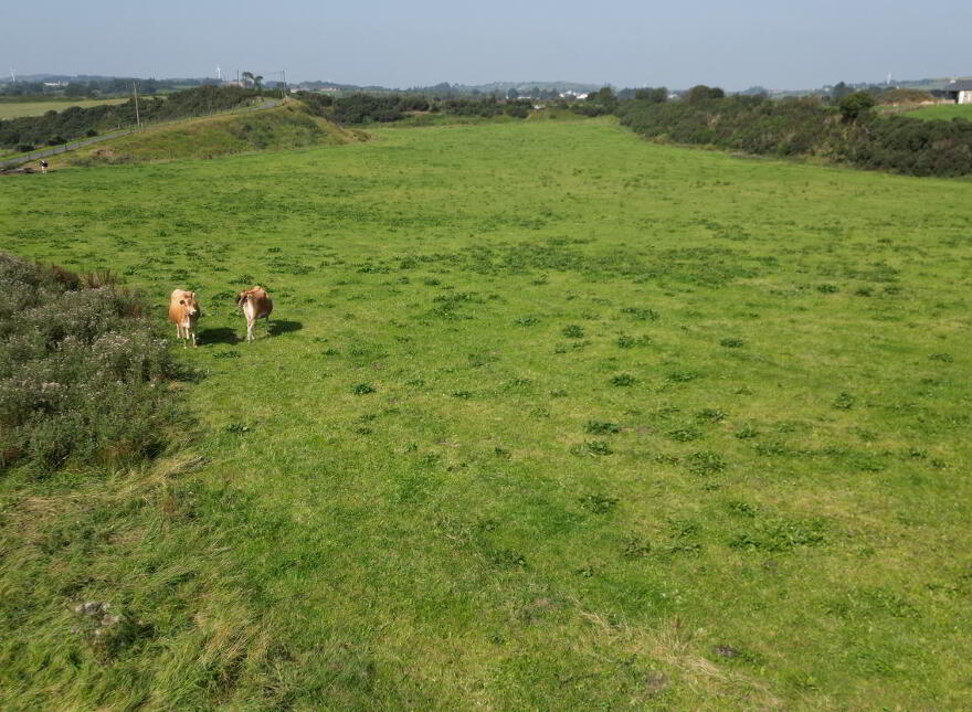 Lands At Moyboy Road, Pomeroy, BT70 2SG