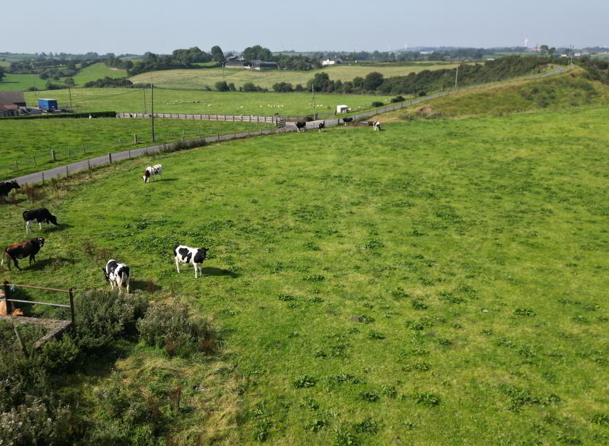 Lands At Moyboy Road, Pomeroy, BT70 2SG