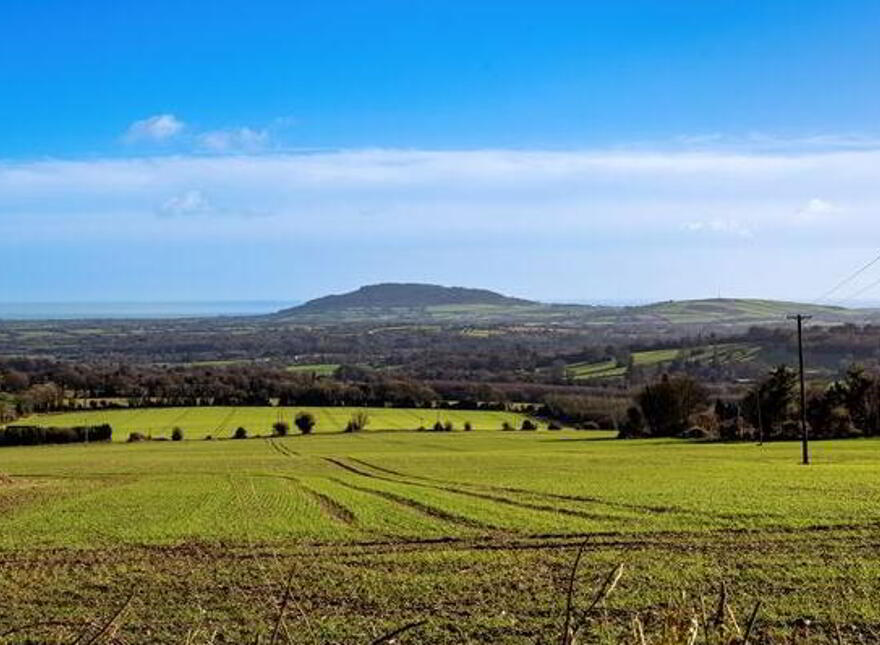 Bella Vista, Tomathone, Kilanerin, Gorey, Wexford