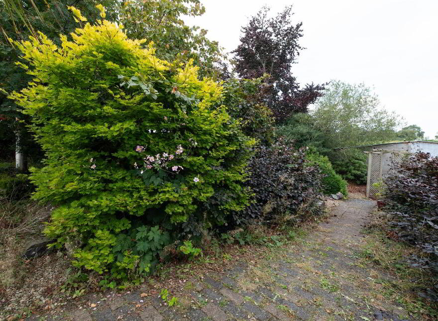 81 Poyntzpass Road, Loughbrickland, Banbridge, BT32 3PL