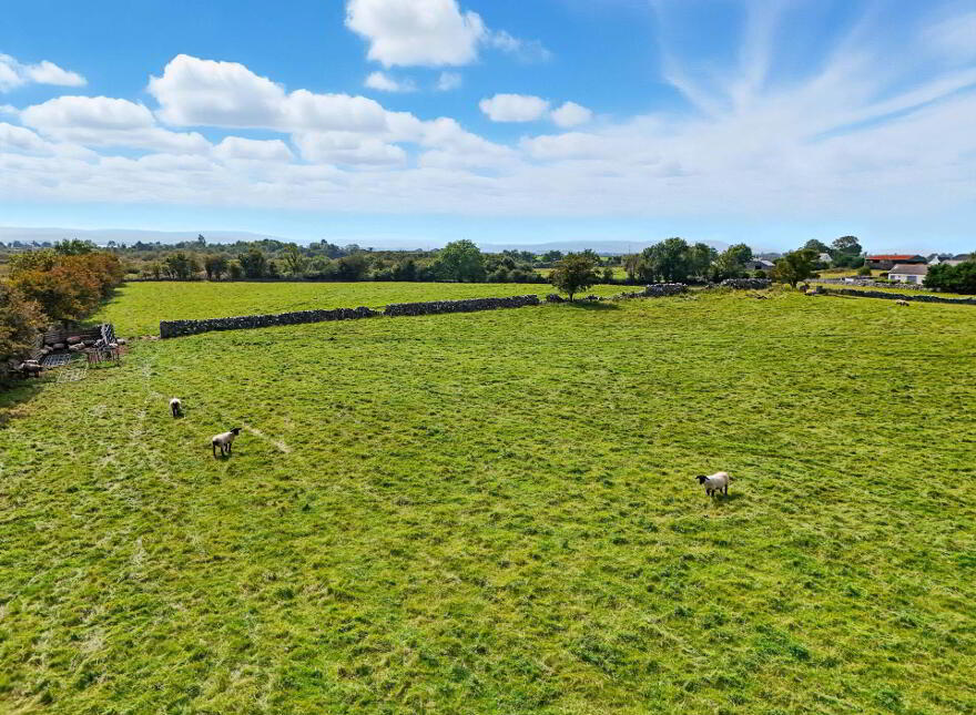 Curraghmore, Ower, Headford