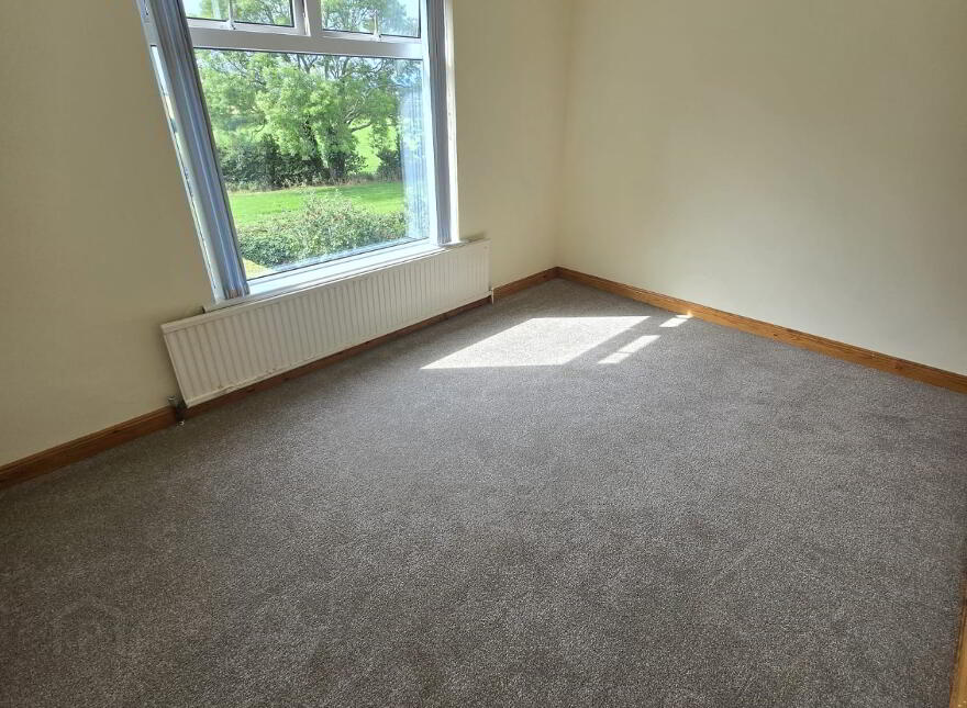 12 Grangecam Road, Downpatrick, BT30 8BB