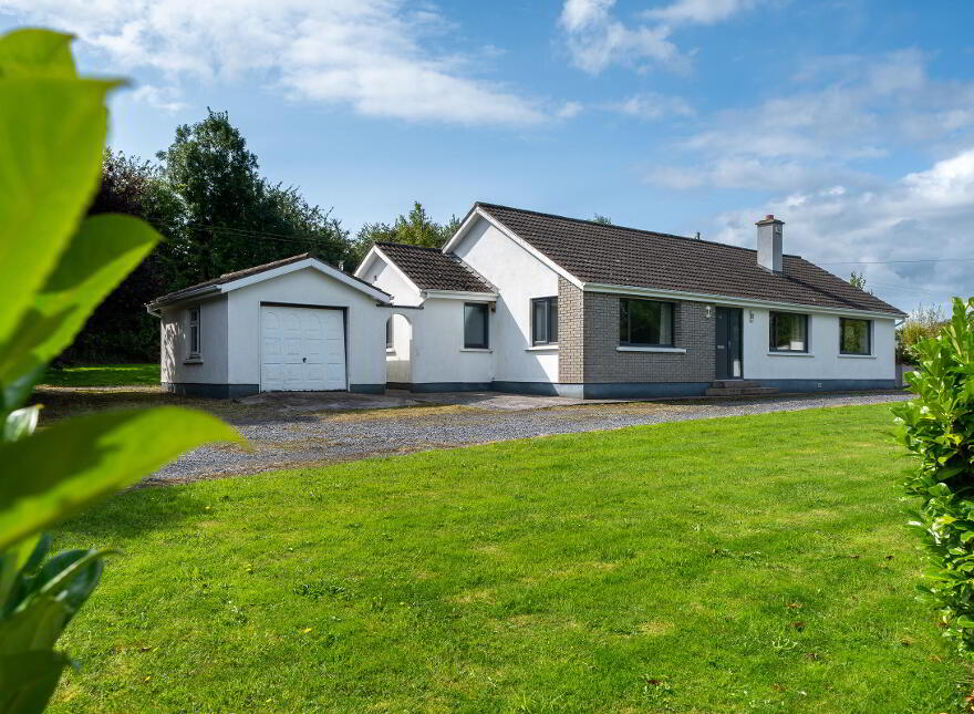 Wineport, Ballykeeran, Athlone, N37T188 photo