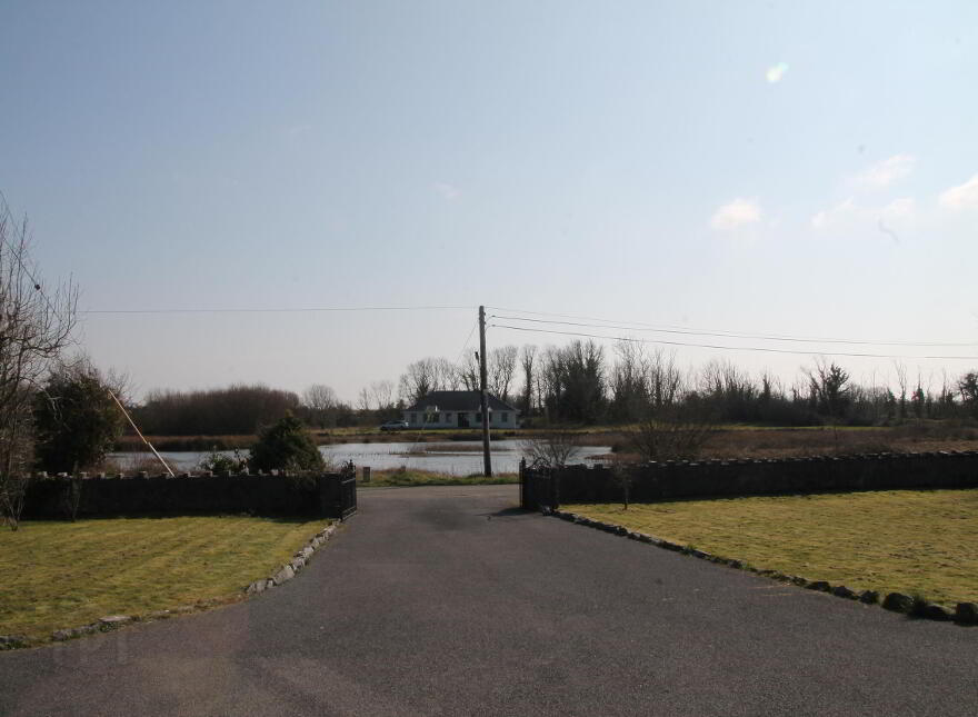 Ballycurrin Demesne, Ower, Headford