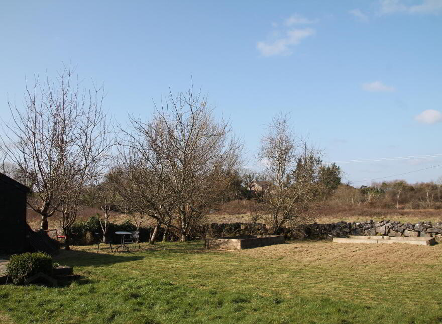 Ballycurrin Demesne, Ower, Headford
