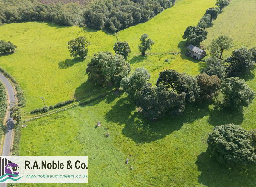 Site At Creevangar Road, Omagh, BT78 1SH
