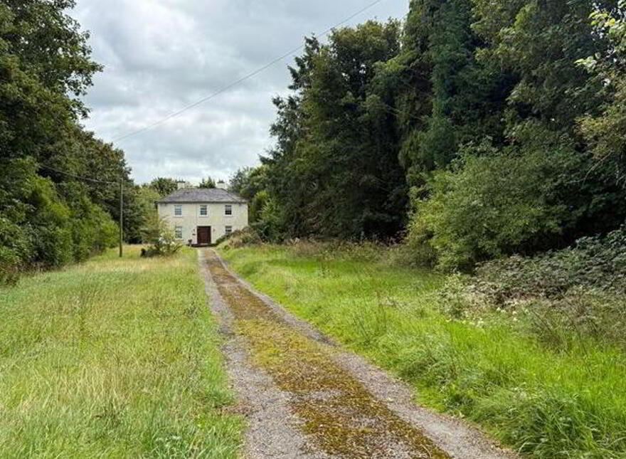 Corskeagh, Frenchpark, Roscommon, F45CK06