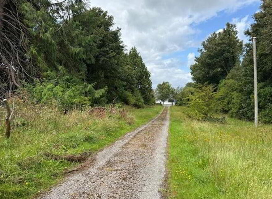 Corskeagh, Frenchpark, Roscommon, F45CK06