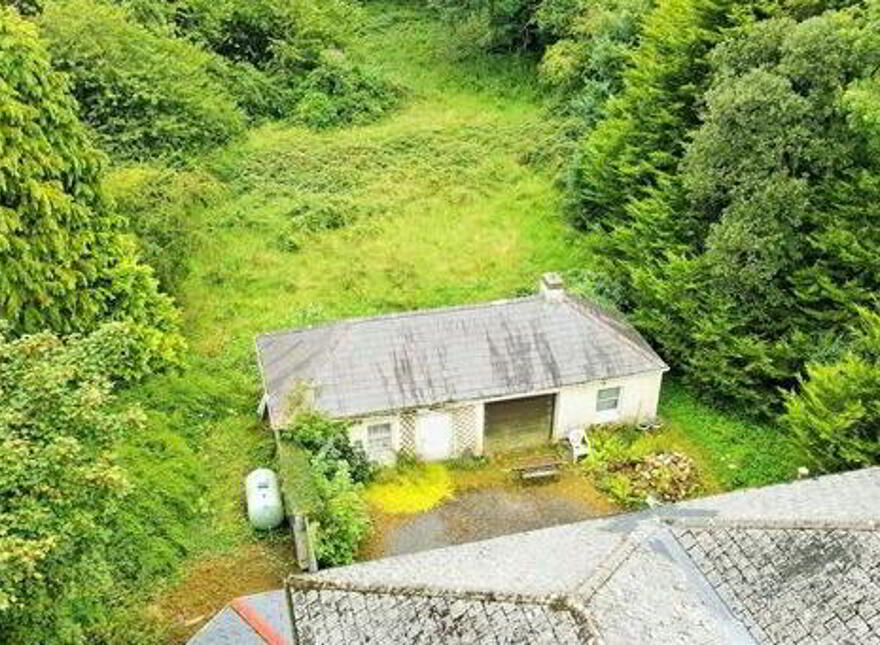 Corskeagh, Frenchpark, Roscommon, F45CK06