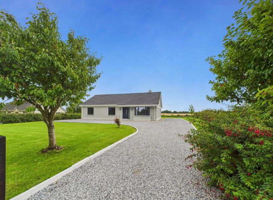 Lisheenboy, Borrisokane, E45HE26 photo