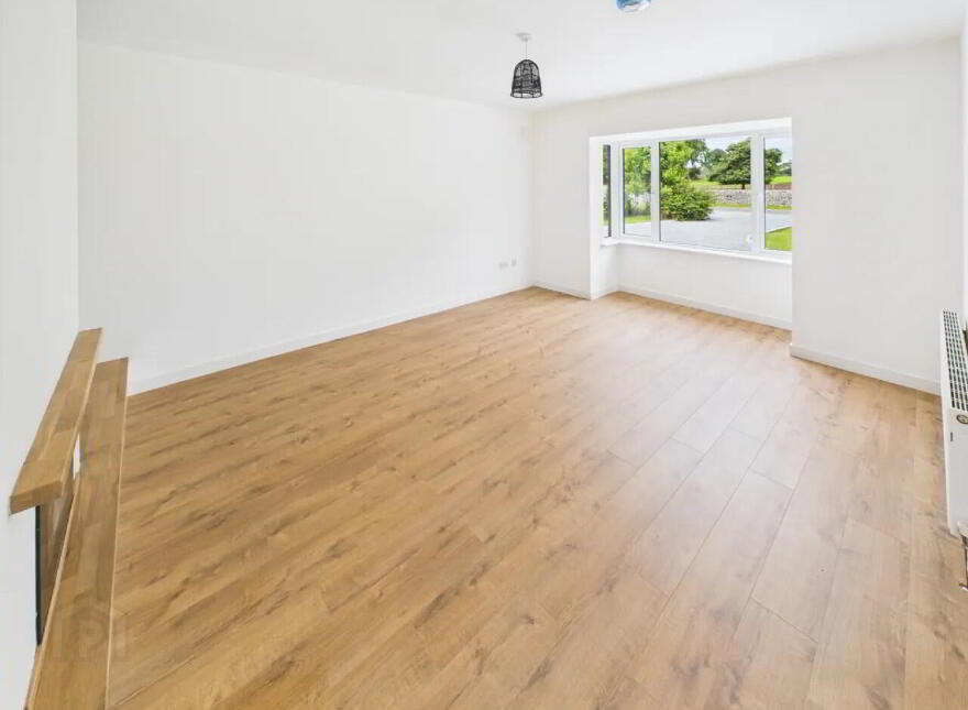 Lisheenboy, Borrisokane, E45HE26