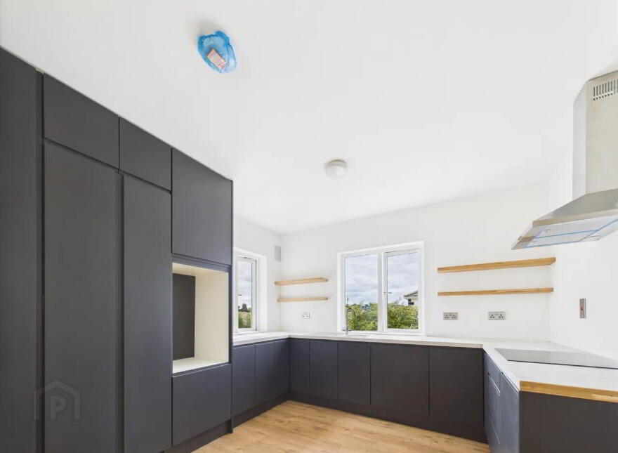 Lisheenboy, Borrisokane, E45HE26