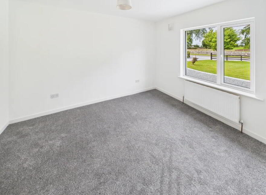 Lisheenboy, Borrisokane, E45HE26