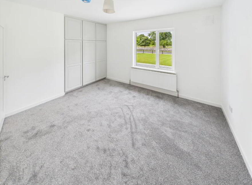 Lisheenboy, Borrisokane, E45HE26
