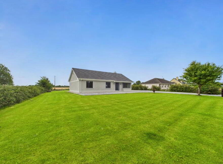 Lisheenboy, Borrisokane, E45HE26