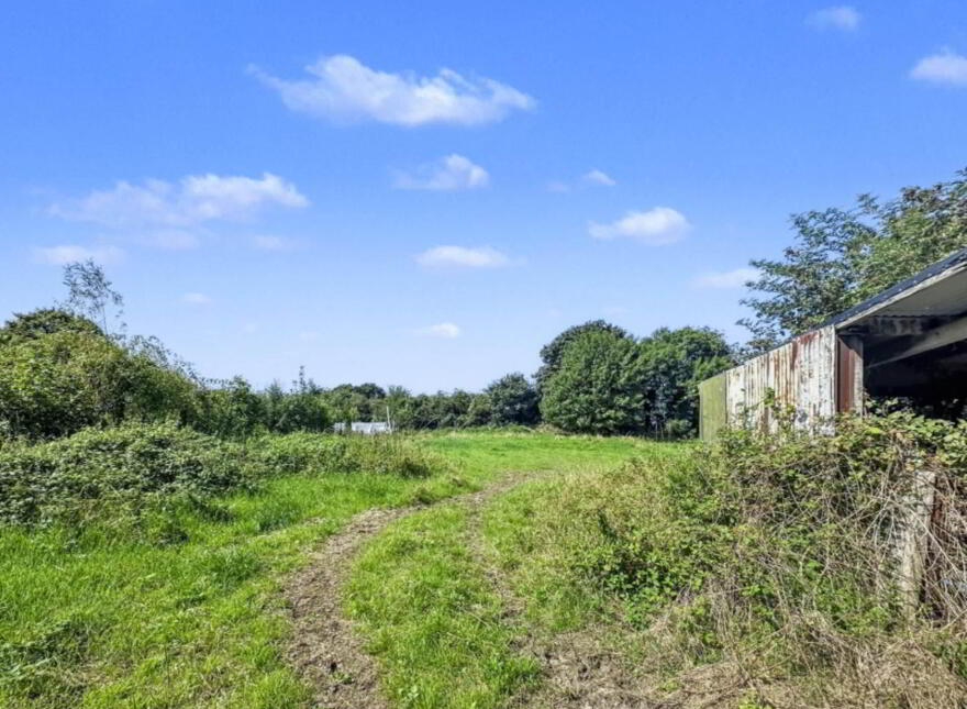 Oxpark, Cloughjordan, Roscrea, E53RF29