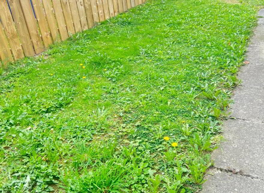5 Benmore Court, Newry, BT34 2TG