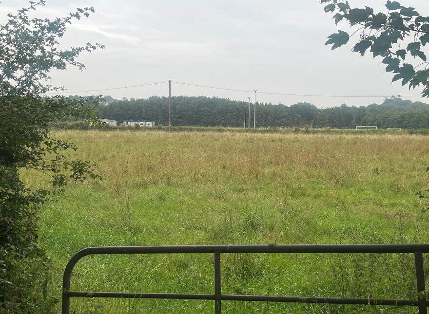 Tullynaskeagh, Carrickmacross