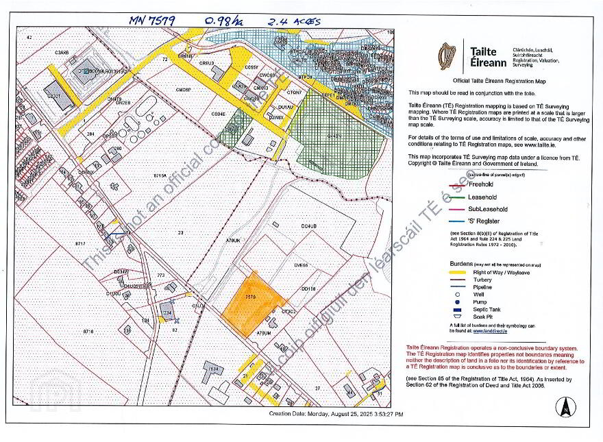 Tullynaskeagh, Carrickmacross