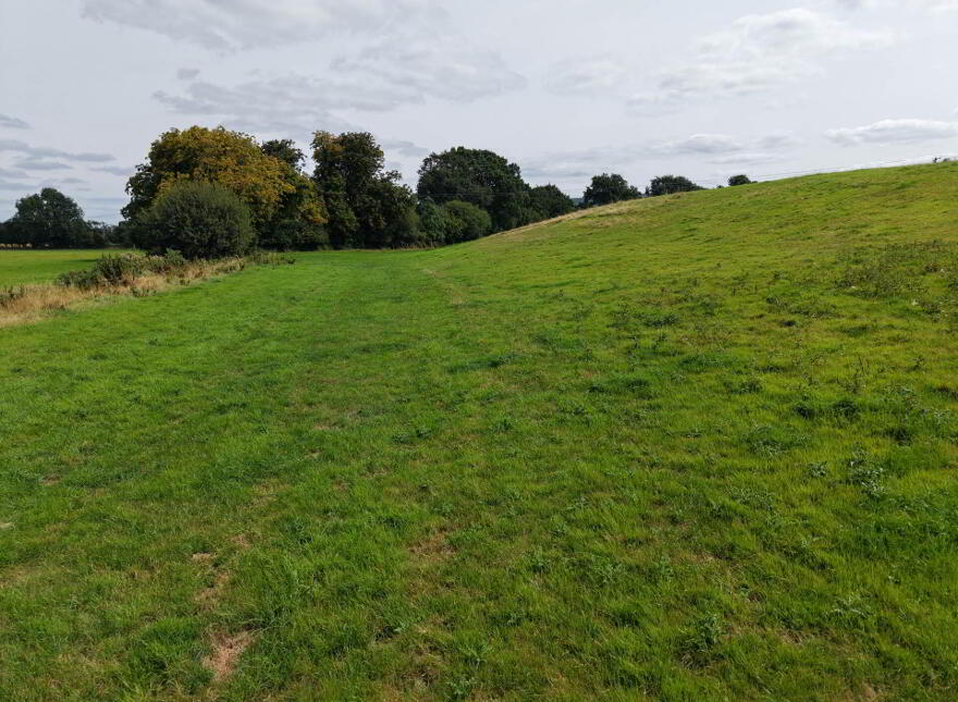 Croan Upper, Clonmel