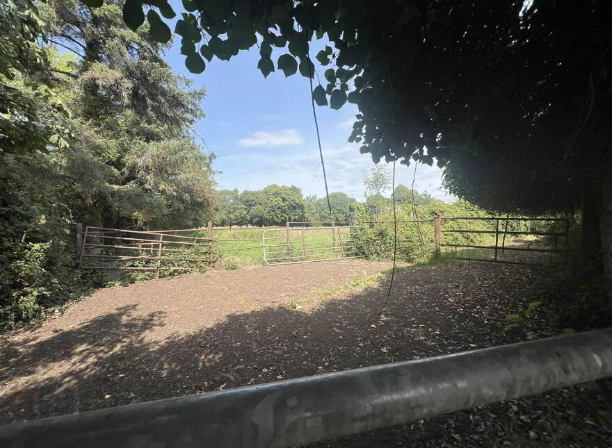 Croan Lower, Clonmel