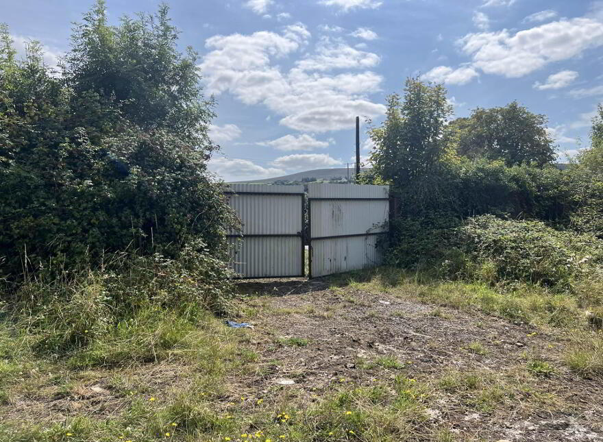 Croan Lower, Clonmel