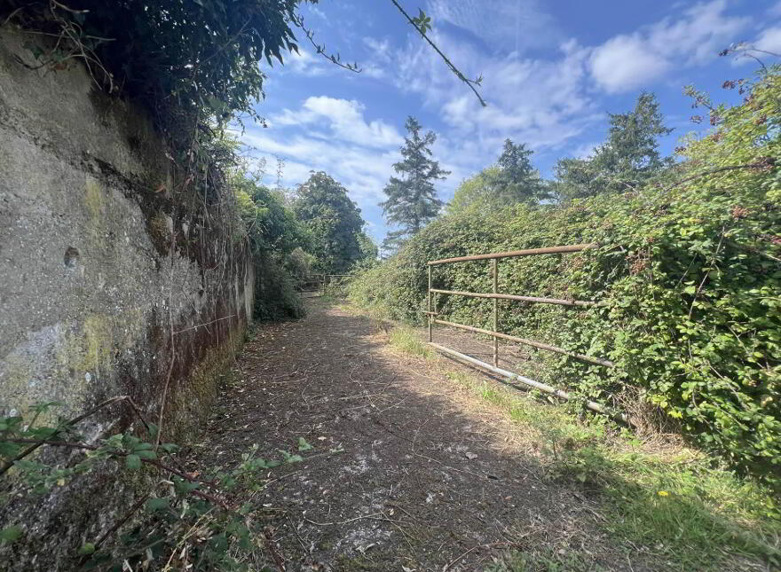 Croan Lower, Clonmel