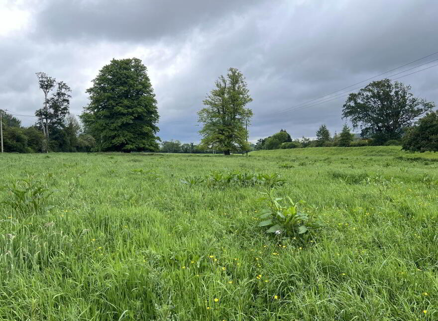 Kilgainey, Clonmel