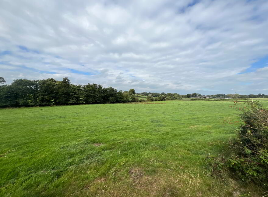 Lot 3, Off Townhill Road, Portglenone, BT44 8AG