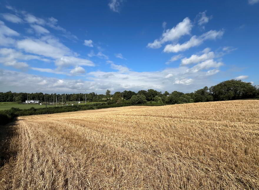 Lot 1, Land Off Townhill Road, Portglenone, BT44 8AG