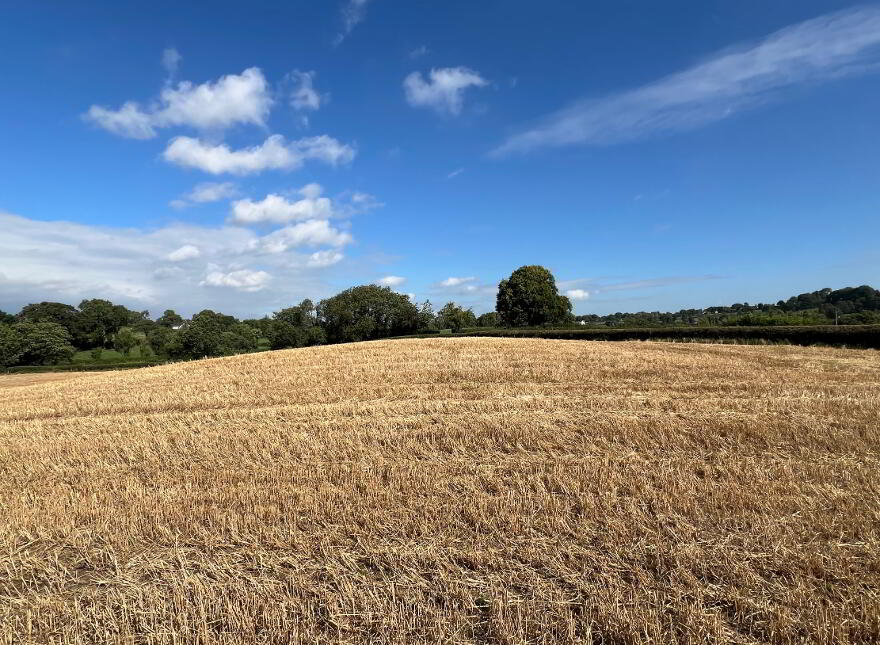 Lot 1, Land Off Townhill Road, Portglenone, BT44 8AG