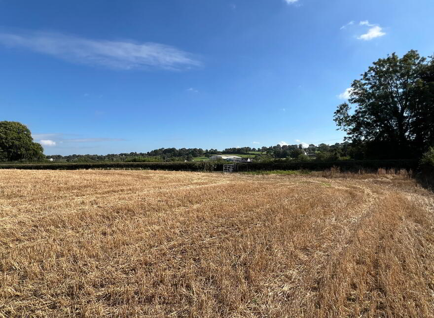 Lot 1, Land Off Townhill Road, Portglenone, BT44 8AG