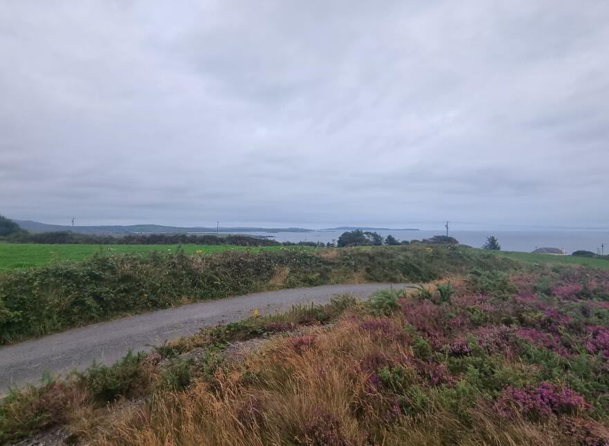 Ballydevlin, Goleen