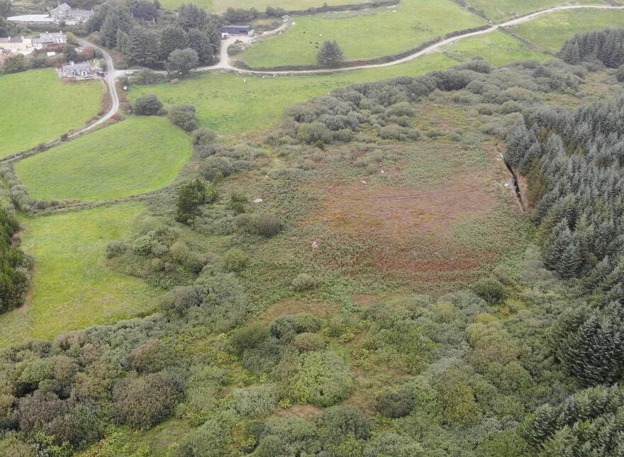 Carhoogarriff, Leap
