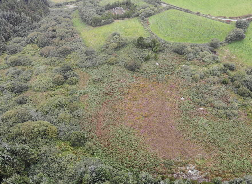 Carhoogarriff, Leap