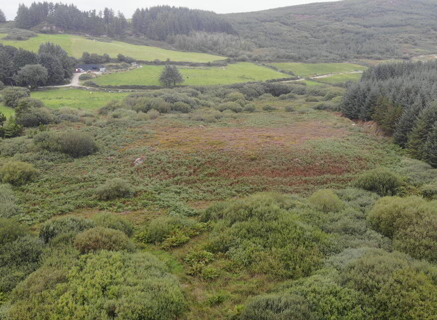Carhoogarriff, Leap