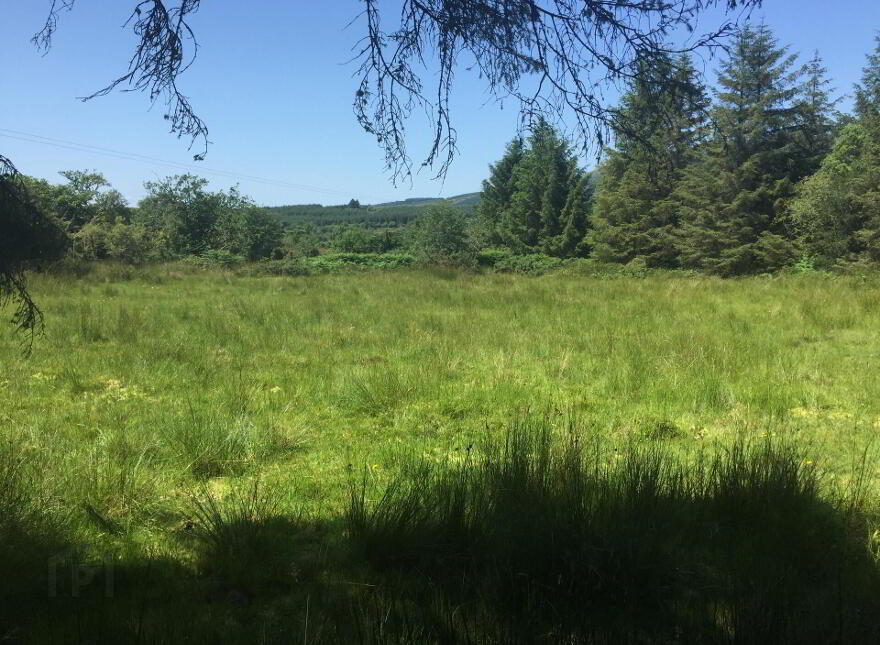 Derrinkeher, Aghacashel, Carrick-On-Shannon, N41HY79