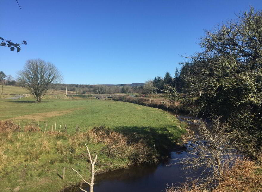 Derrinkeher, Aghacashel, Carrick-On-Shannon, N41HY79