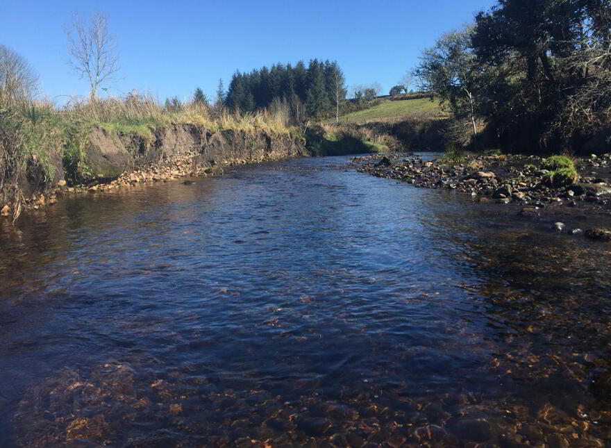 Derrinkeher, Aghacashel, Carrick-On-Shannon, N41HY79