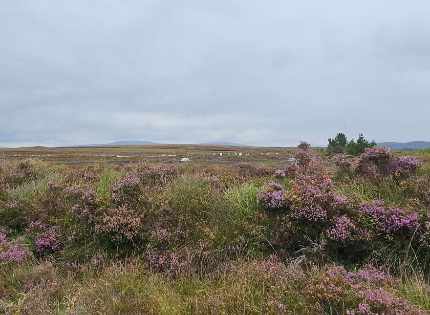 Craghyboyle, Dungloe,
