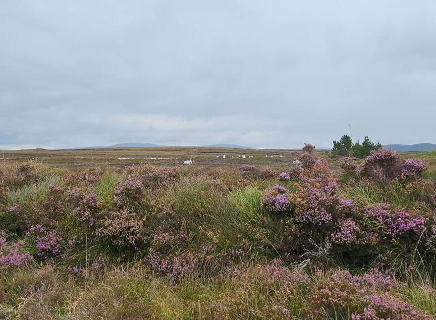 Craghyboyle, Dungloe