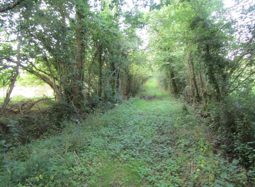 1, Detached Residence On, C. 37 Acres