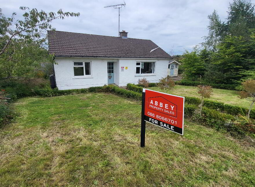 Greaghglass, Aughnasheelin, Ballinamore, N41CK49 photo